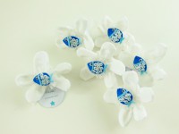 /album/miniature-pesciolino-azzurro-su-sacchetto-portaconfetti-floreale-in-cotone-bianco/dscn4111-2-jpg/